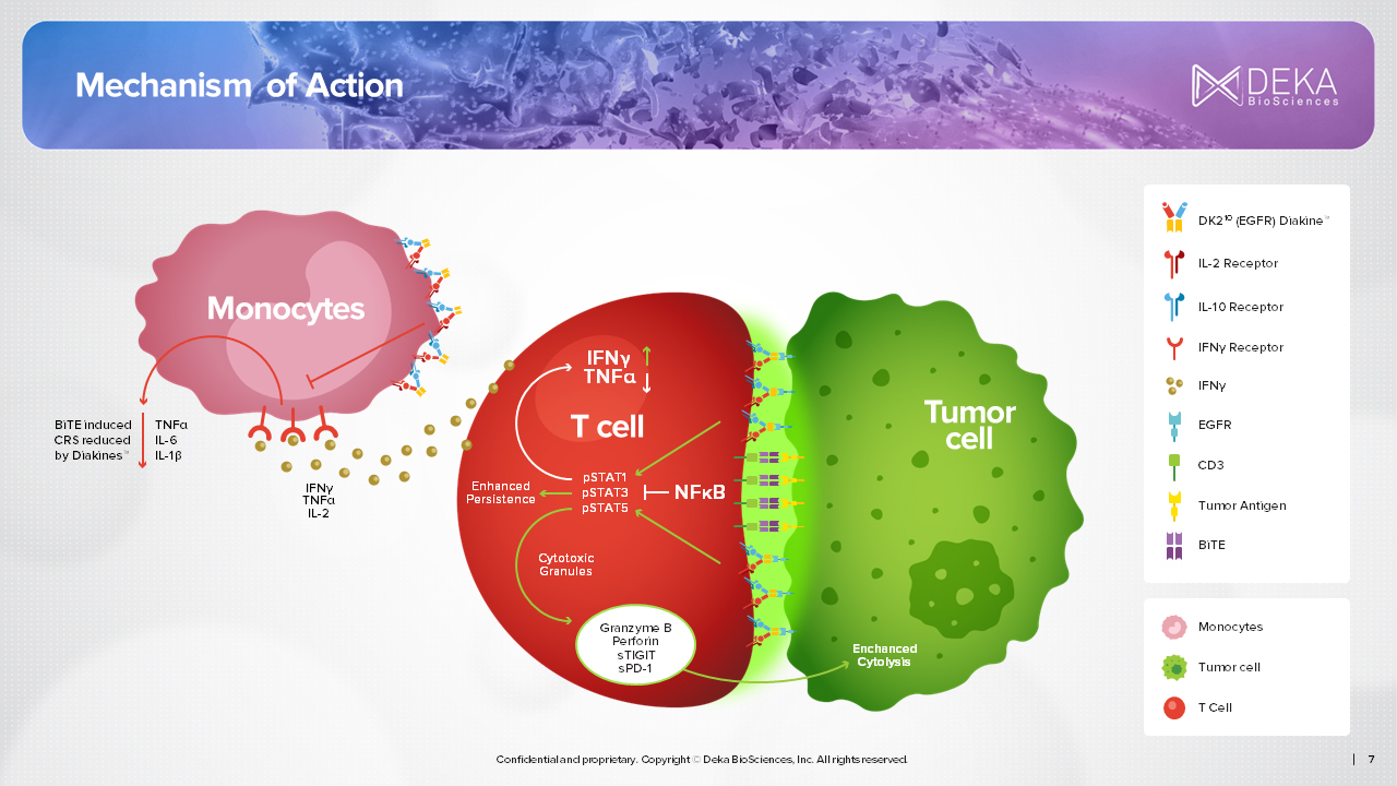 Targeted Cytokine Delivery presentation preview